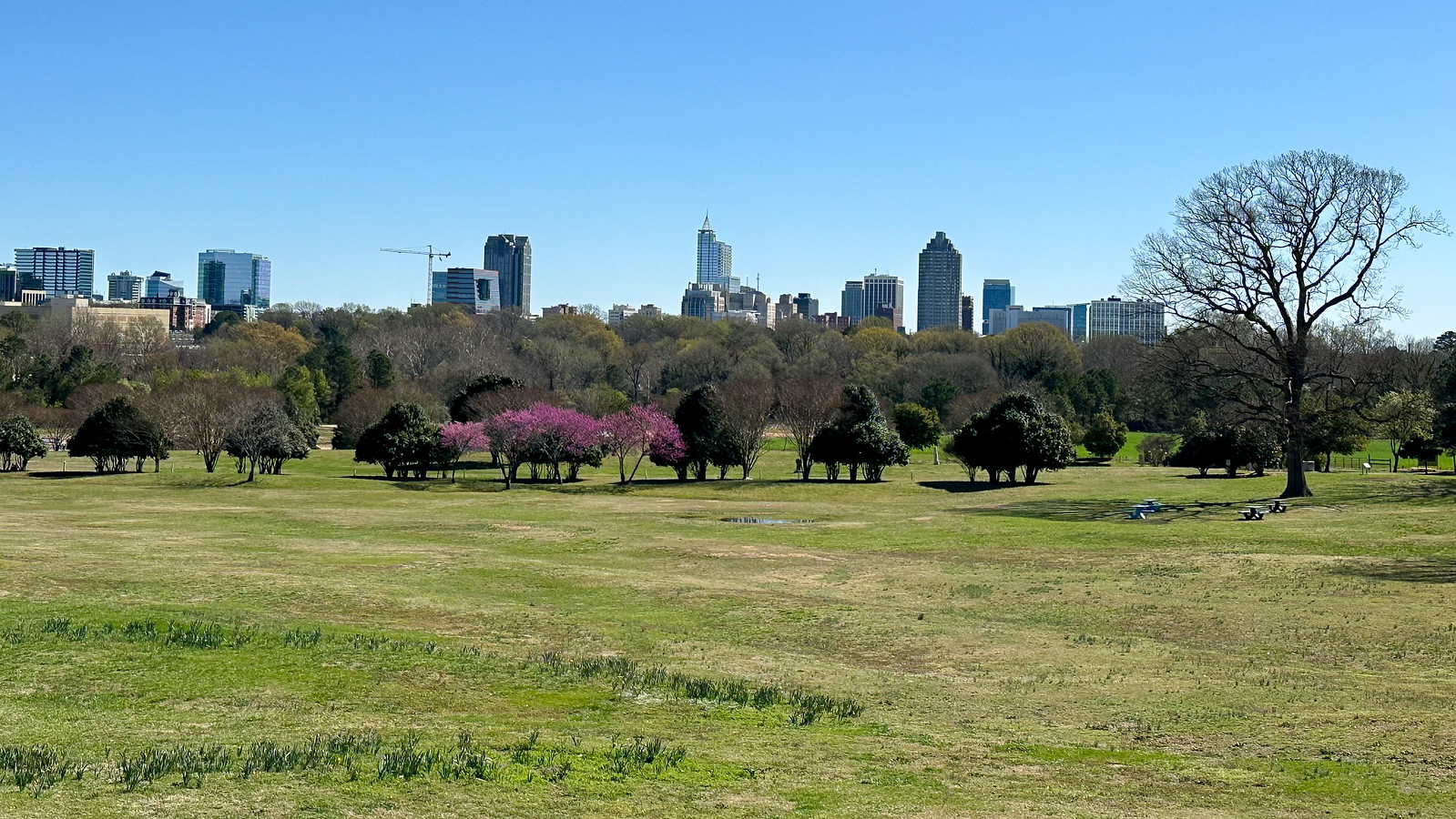 Locals Share Secret Raleigh Spots for Your Perfect Weekend